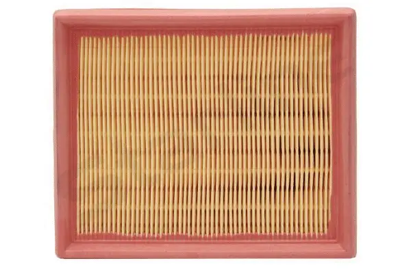 Air Filter (SF VF7846)