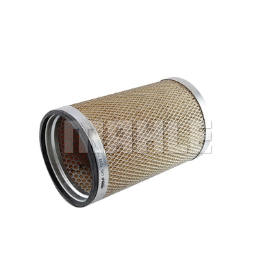 Secondary Air Filter (LXS 7233)