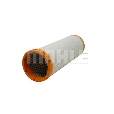 Secondary Air Filter (LXS 219)