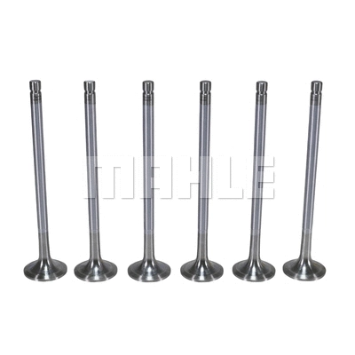 Exhaust Valve (VE0480090)