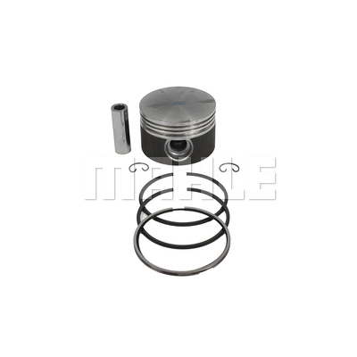 Piston (P&A1745)