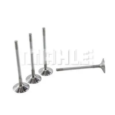 Intake Valve
