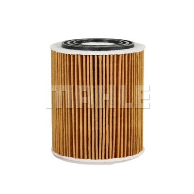 Oil Filter (OX 175D)