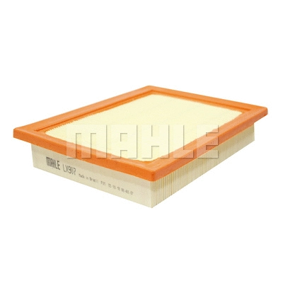 Air Filter (LX 907)