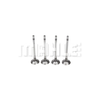 Intake Valve (VA0701558)