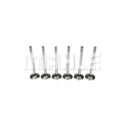 Exhaust Valve (VE0710120)