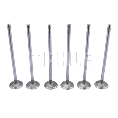 Exhaust Valve (VE0011688)