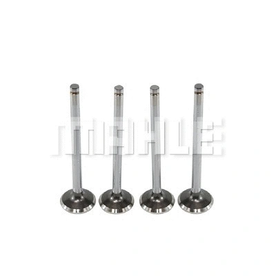 Exhaust Valve (VE0440588)