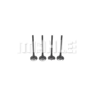 Exhaust Valve (VE2081553)