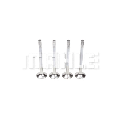 Exhaust Valve (VE0250169)