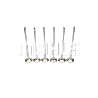 Exhaust Valve (VE0710201)