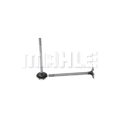 Exhaust Valve (VE0140014)