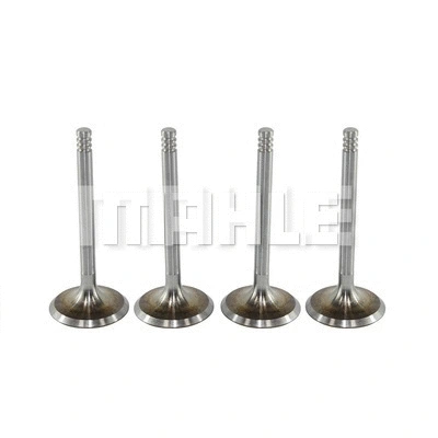 Intake Valve (VA0700088)