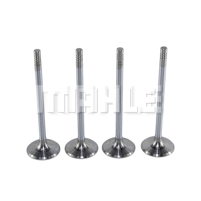 Intake Valve (VA0140076)