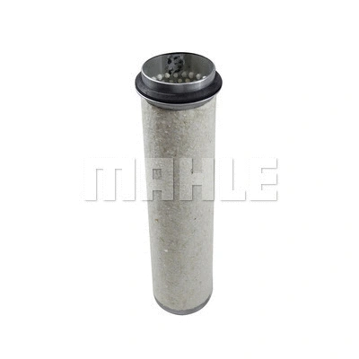 Secondary Air Filter