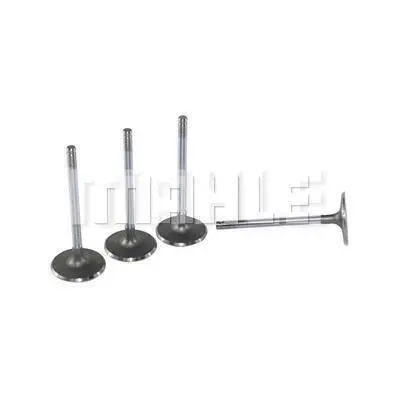 Intake Valve