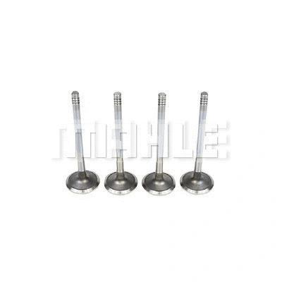 Intake Valve (VA0570250)