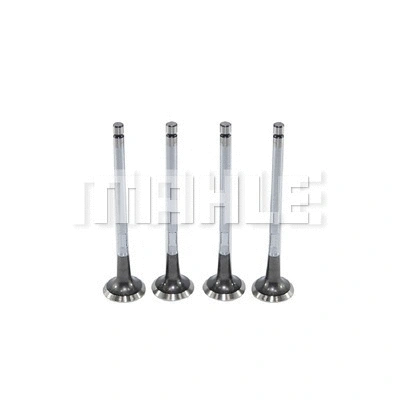Exhaust Valve (VE0440598)