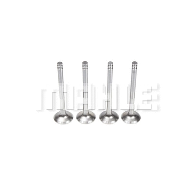 Exhaust Valve (VE0700081)