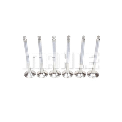 Exhaust Valve (VE0760216)