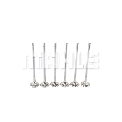 Exhaust Valve (VE0710202)