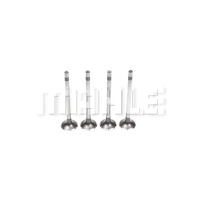 Exhaust Valve (VE0701559)