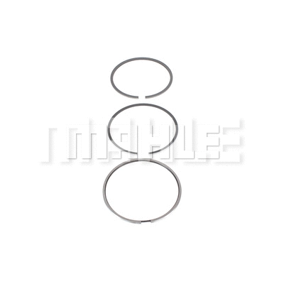 Piston Ring Kit (LCS.6976)