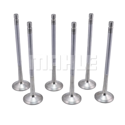 Exhaust Valve (VE0481487)