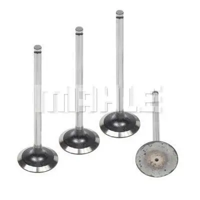 Intake Valve