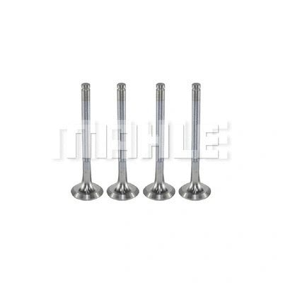 Exhaust Valve (VE0250053)