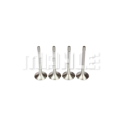 Exhaust Valve (VE0700220)