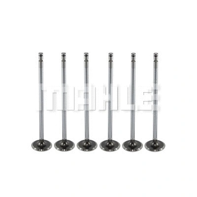 Intake Valve (VA0710203)