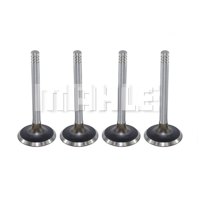 Intake Valve (VA0590066)