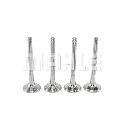 Exhaust Valve (VE0700016)