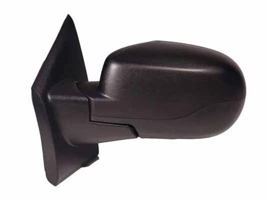 Exterior Mirror (56445)