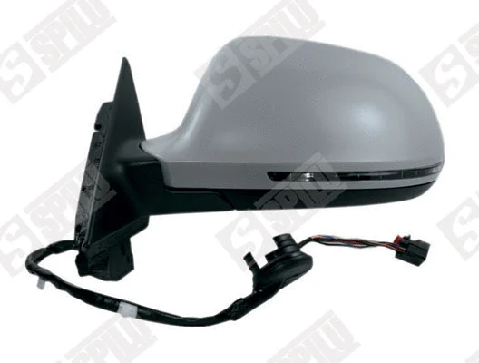 Exterior Mirror (55013)