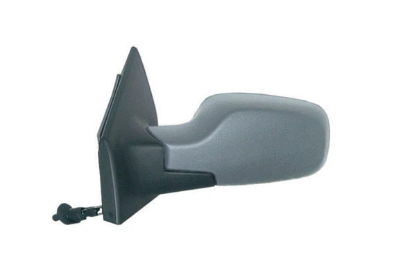 Exterior Mirror (54345)