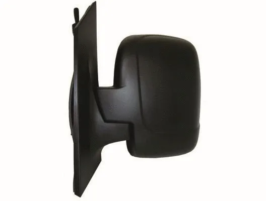 Exterior Mirror (55451)