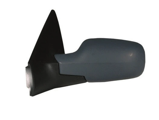 Exterior Mirror (55294)