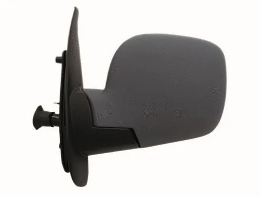 Exterior Mirror (55227)