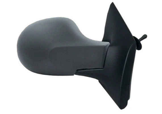 Exterior Mirror (55238)
