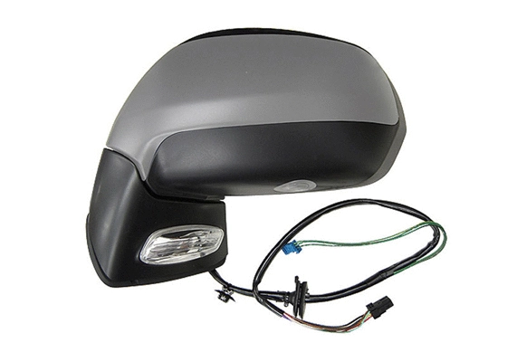 Exterior Mirror (55405)
