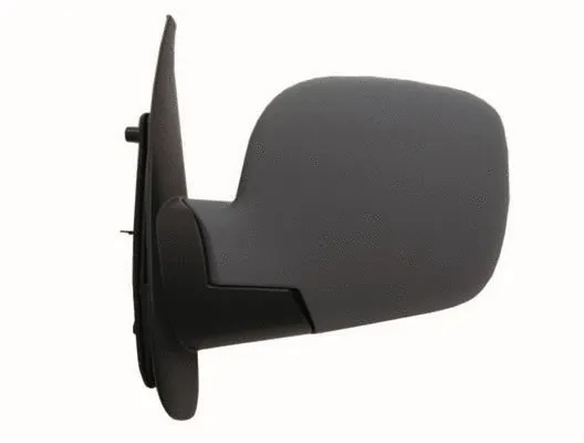 Exterior Mirror (55225)