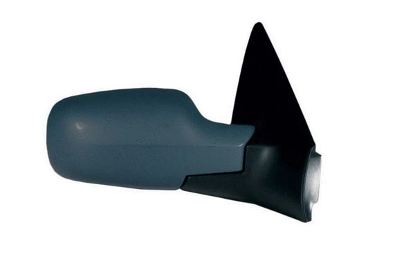 Exterior Mirror (54324)