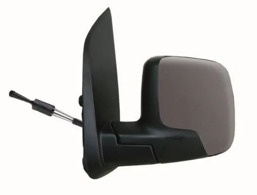 Exterior Mirror (55433)