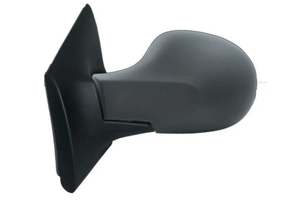 Exterior Mirror (55239)