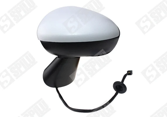 Exterior Mirror (54841)