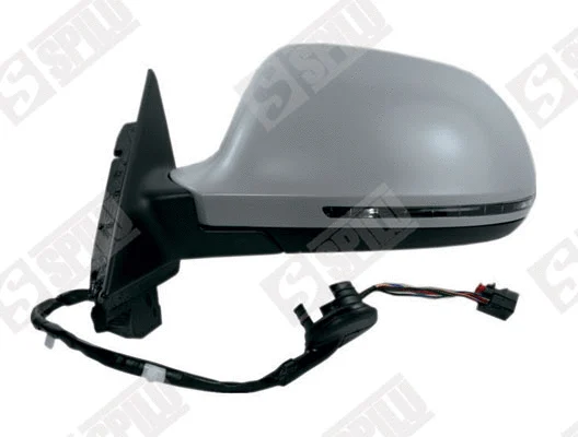 Exterior Mirror (55019)