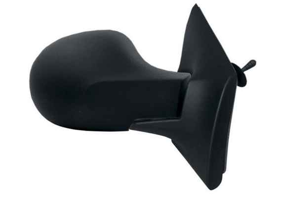 Exterior Mirror (55236)