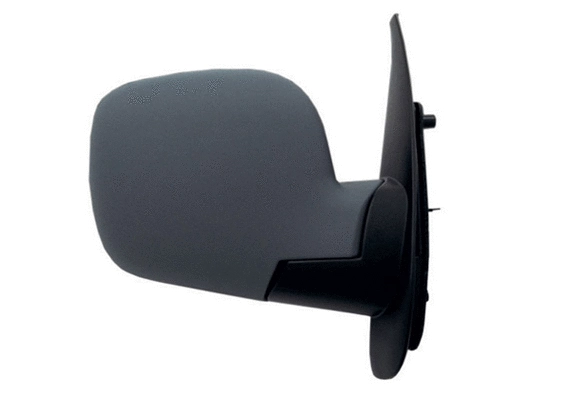 Exterior Mirror (55226)
